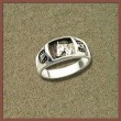 Schner Ring fr Pferdeliebhaber Indianerschmuck